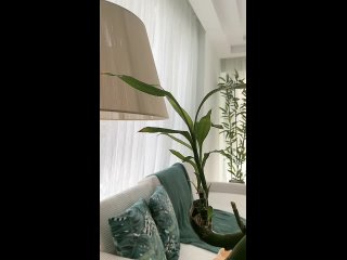 tk wasan 85rf 2026 01 26 12-18-20 mp4